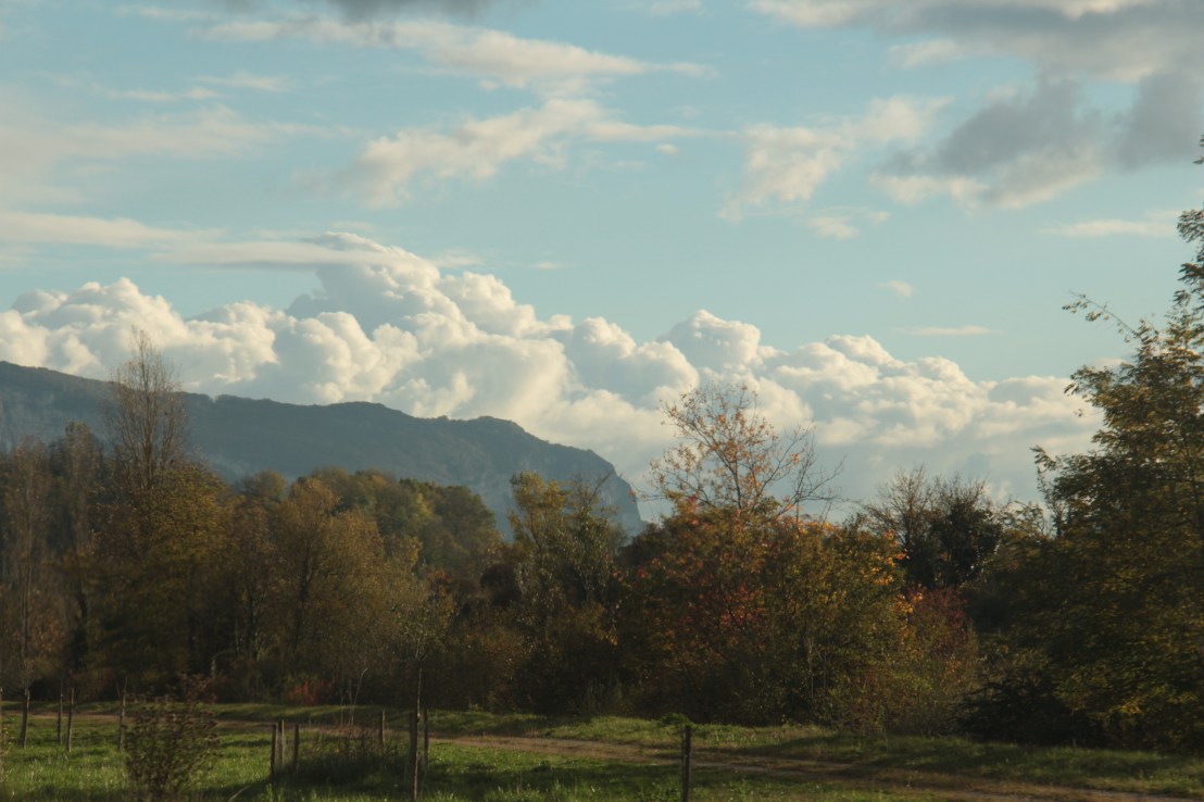 3B5980F4-283F-4B01-9394-CDF93DC63B6B