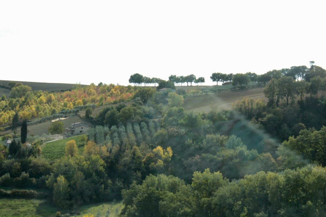 815763B9-1405-4619-B946-DC143063C30F