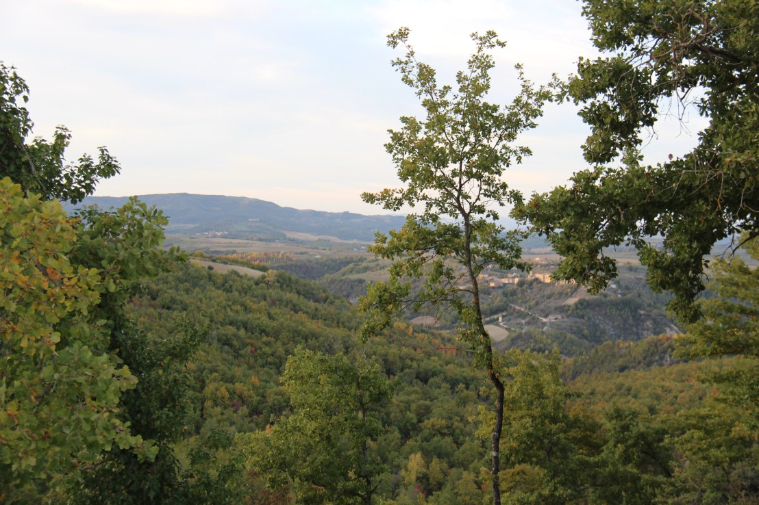 B2C8E86B-6F0D-4200-B40A-ECFBE8140D81