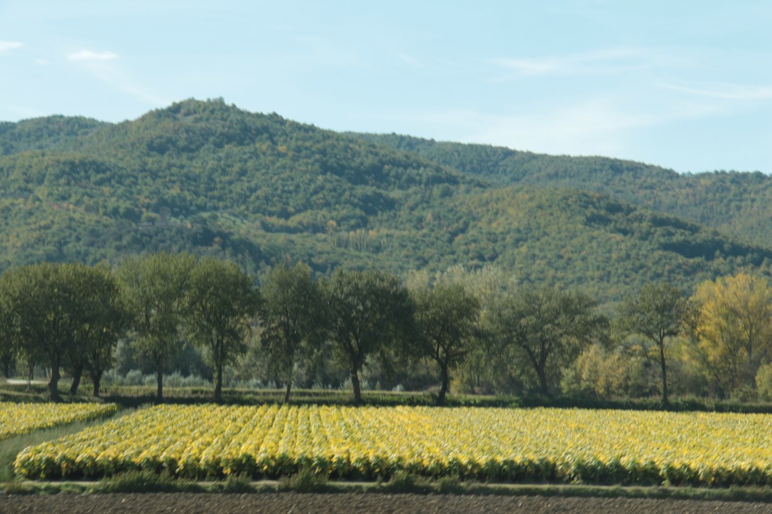 B54C0AA0-99F4-40C0-A068-03058DA8914A