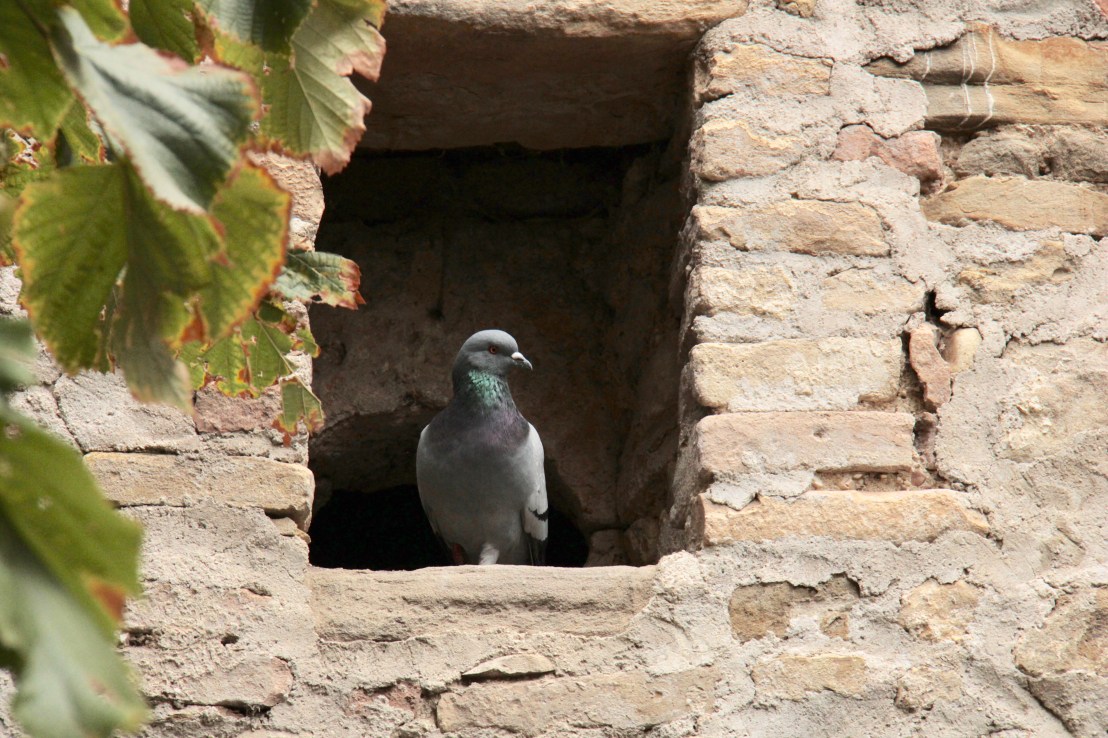 D44BC68D-FB56-4669-8A4C-B623E96604CF