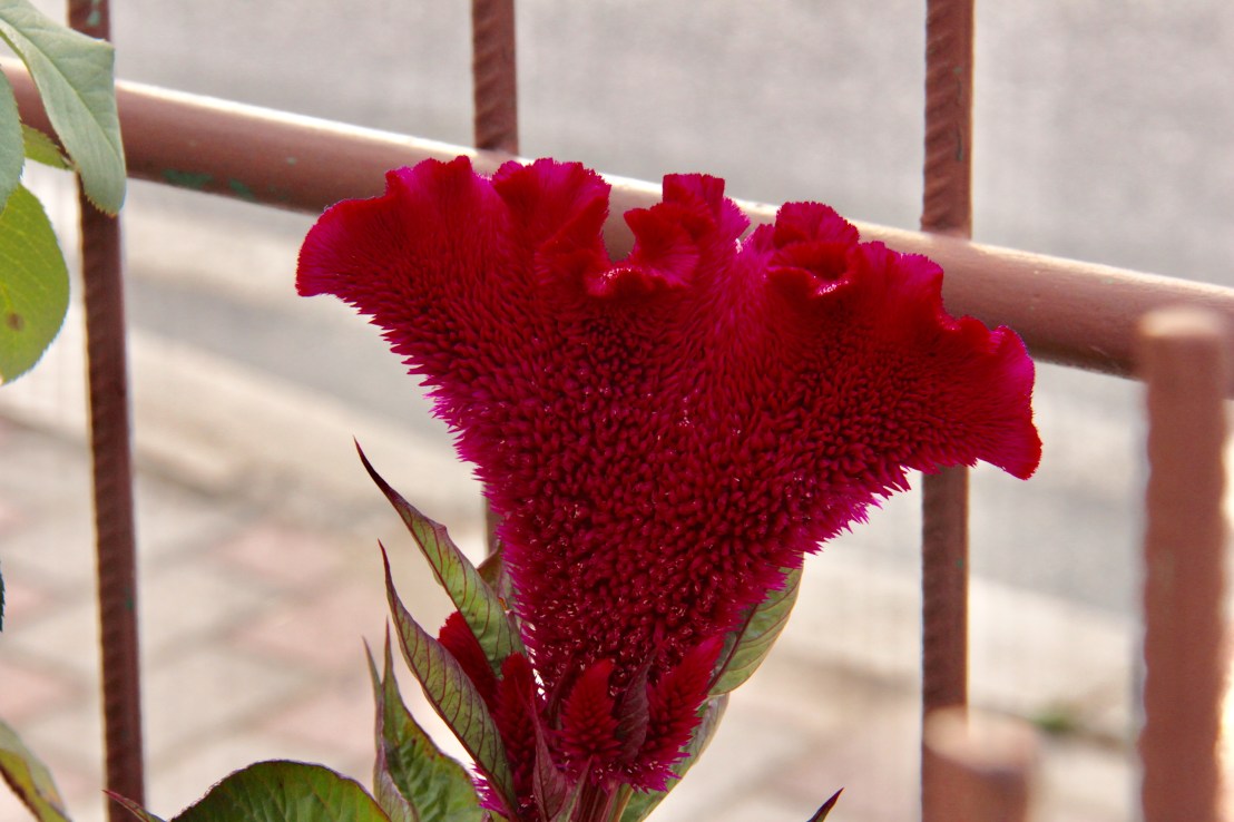 E79866E1-FDB8-47A3-AF1B-F87E5A782CAD