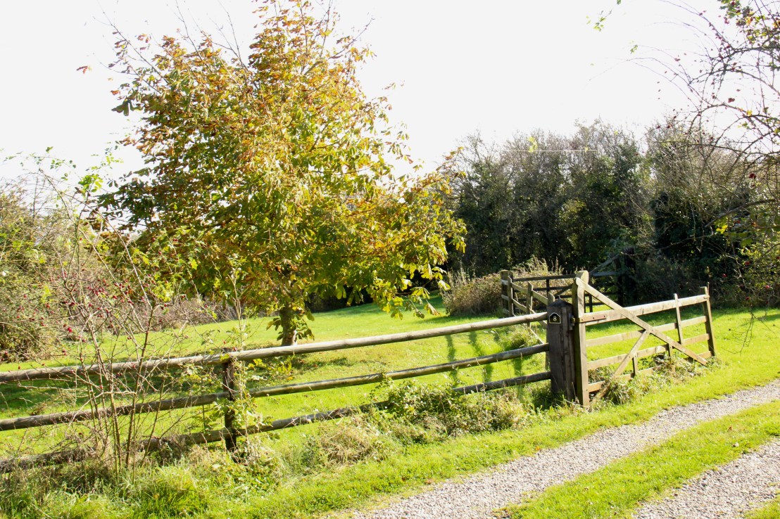 F66B6464-DCD1-4867-BB45-BE636C35F2D7