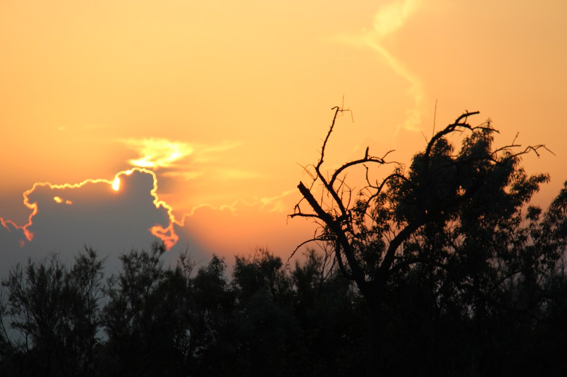 088C30ED-1ECE-4C5A-B76B-193557536EE0