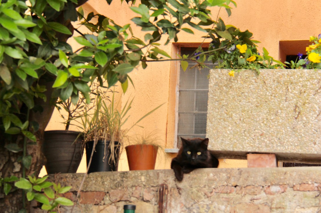 37D52DF7-6B3E-4B0F-9E70-44B560C26B19