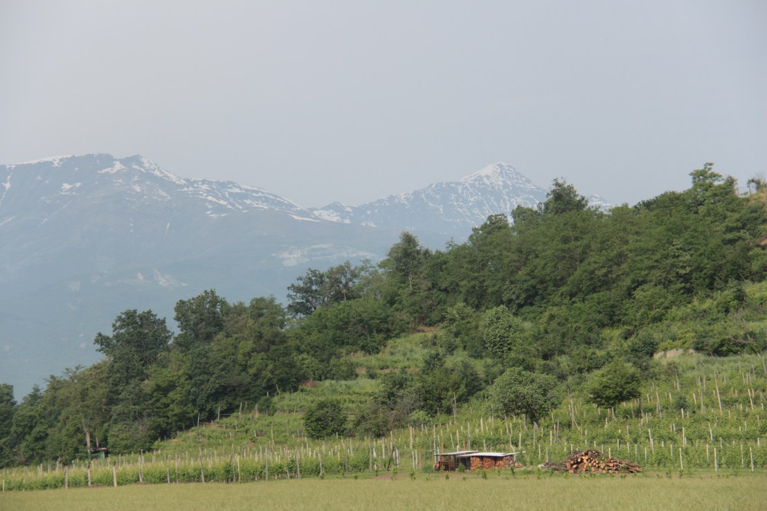 47CAAAC5-3B1B-4ADF-B7FB-13F08169A8C8