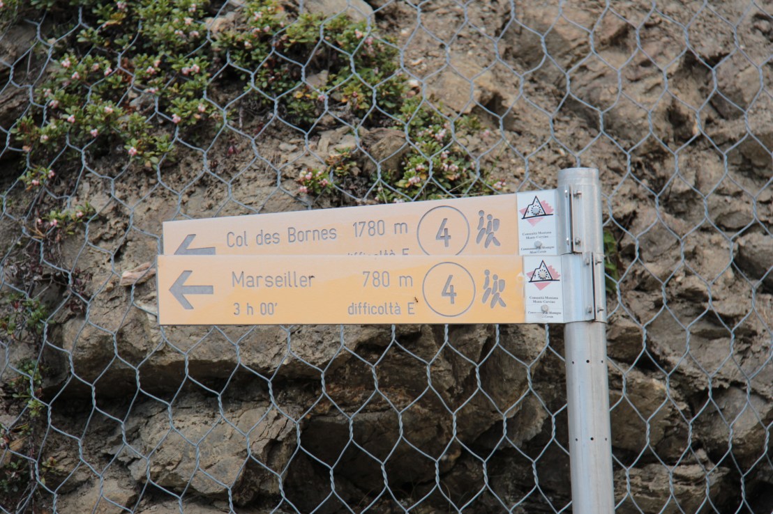 496B6F6D-C444-4C2F-B894-3AAD10983EDD