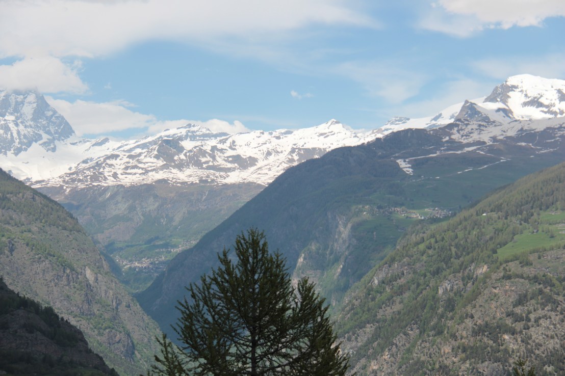 4EB15A8C-3FB9-4B2C-9D64-EC03A8F70A8E