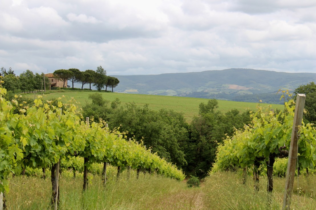 541CA6D2-50BB-4D57-940D-DDB1572888D9