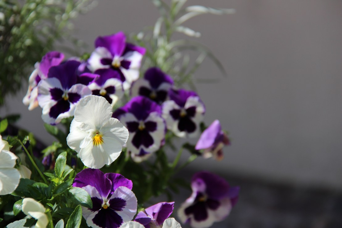 B4558D0D-25F0-4FC8-BCD7-69E8545652BB