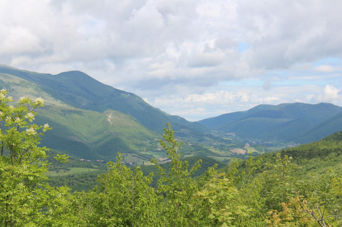 D0386169-37CB-4A3B-A53C-028990917C74