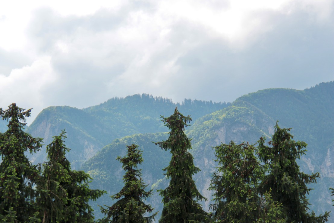 E481CAFB-6FE0-4BE2-9AA8-2A1CB593F1A1