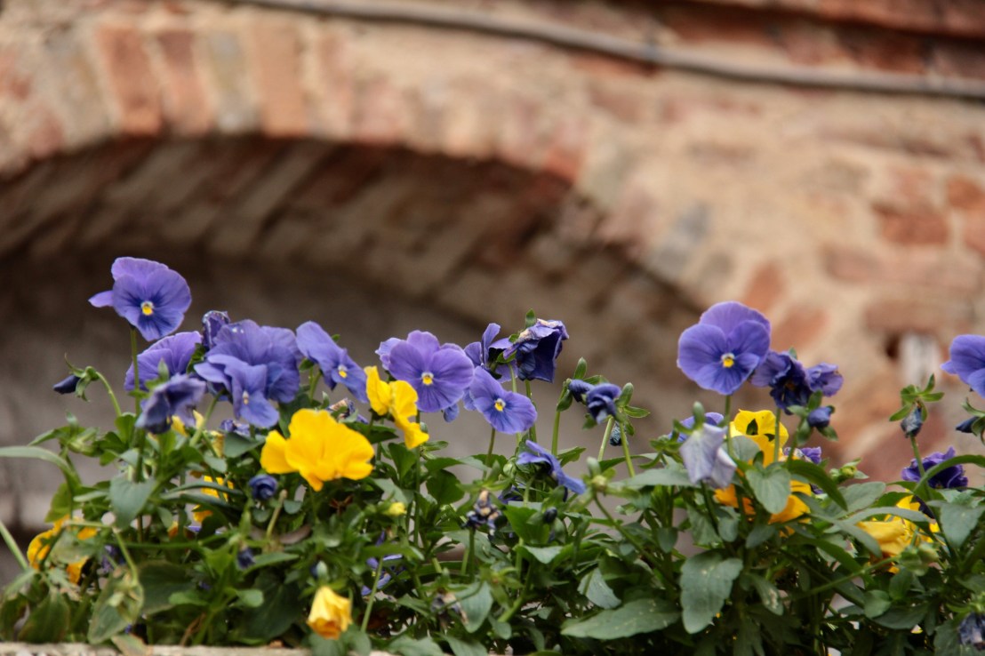 E8A0382A-FDC3-469B-9B83-67B66AED5A8F