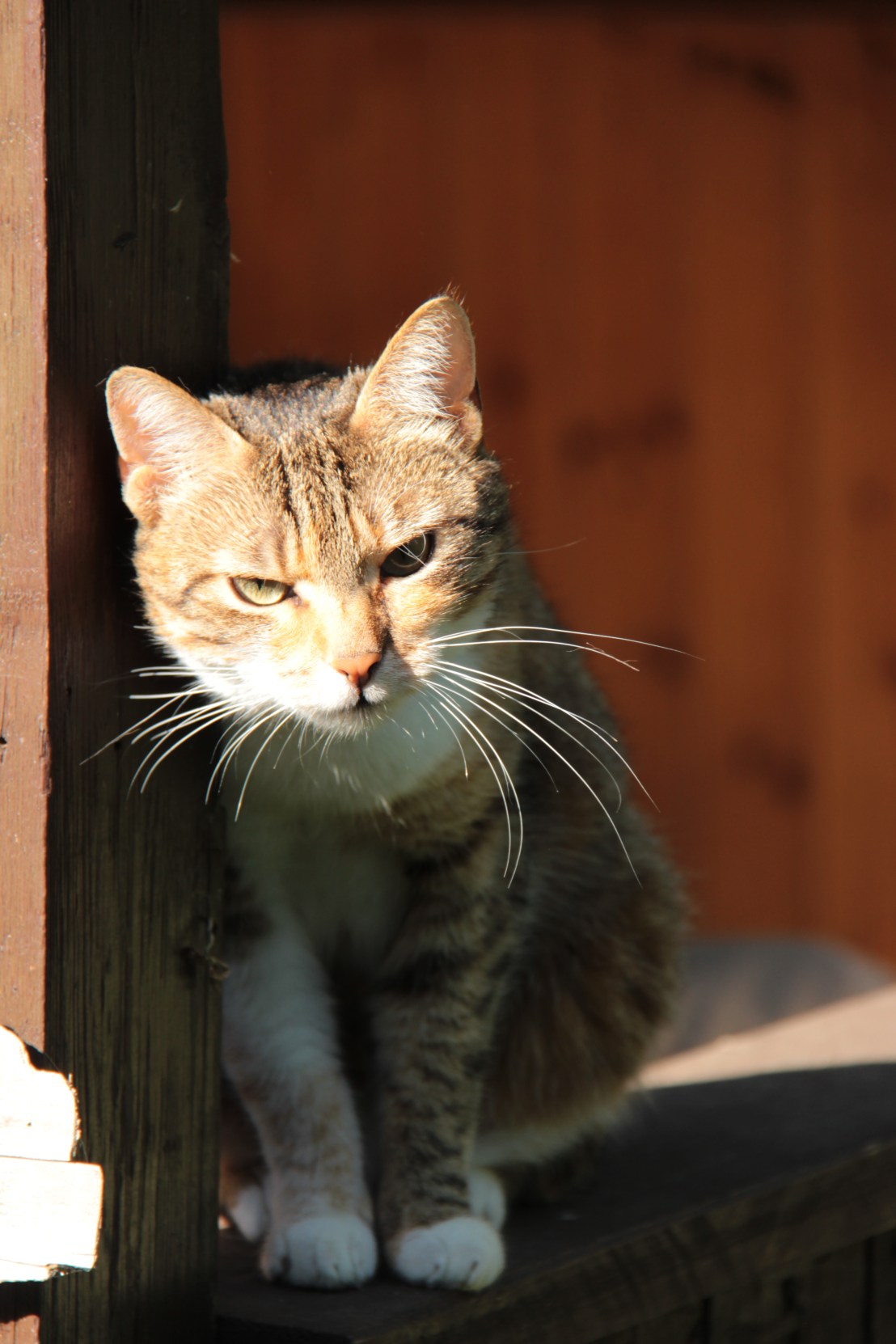 0FC1ED1D-A9D5-4A41-A641-BA241D219A4F