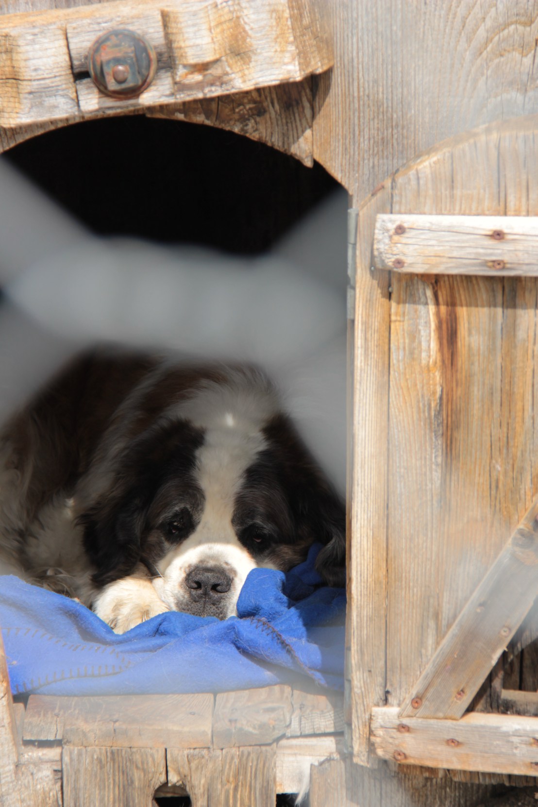 142C6D40-712D-47A1-95BE-C9F0A110F8AA