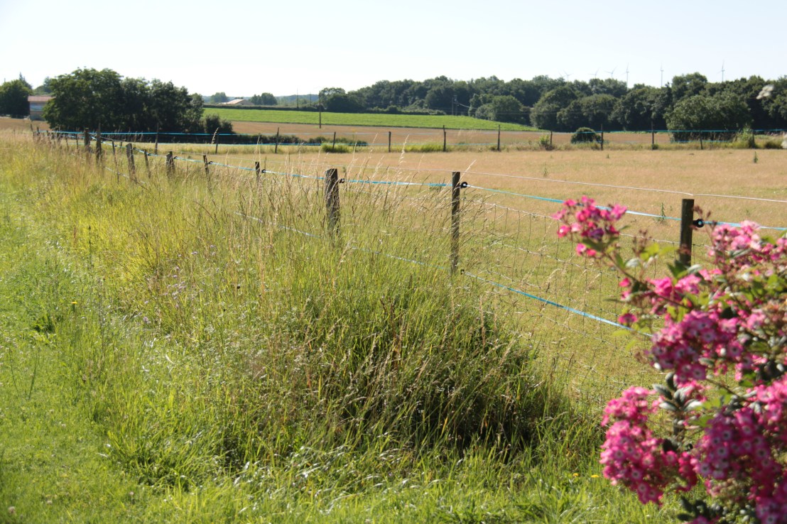 31F34F83-8C41-4E21-8A1C-6818499A71C6