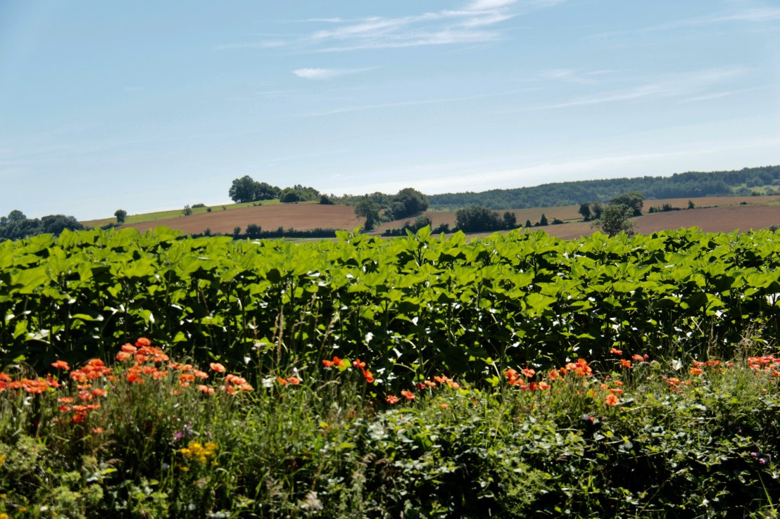 3AD8458A-76E6-47DA-9C29-887E53E25D43