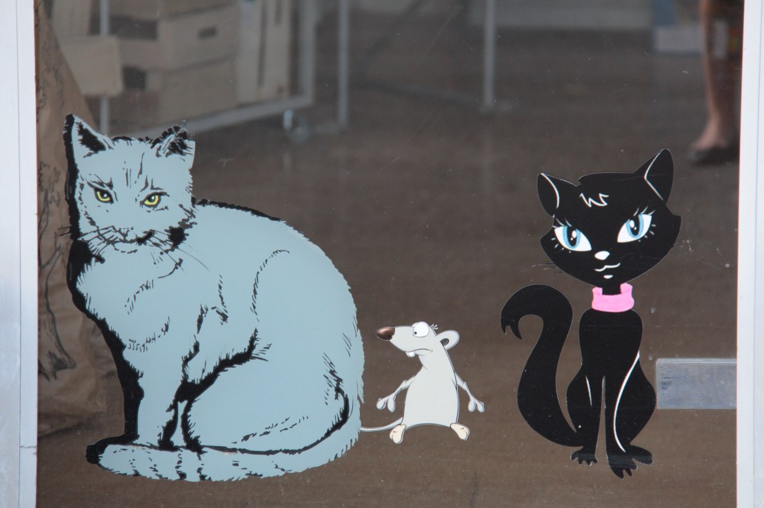 50992D32-E112-473B-A099-0F154574C9DF