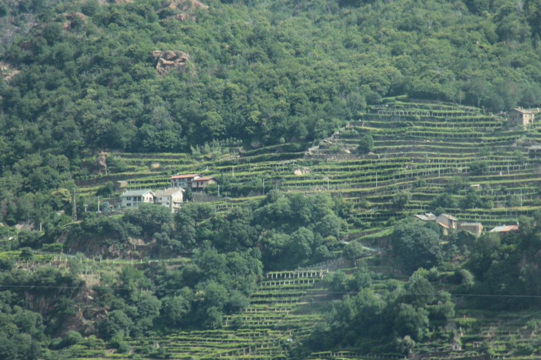 66F5F89E-3738-47EB-9146-1A69F0CD5689