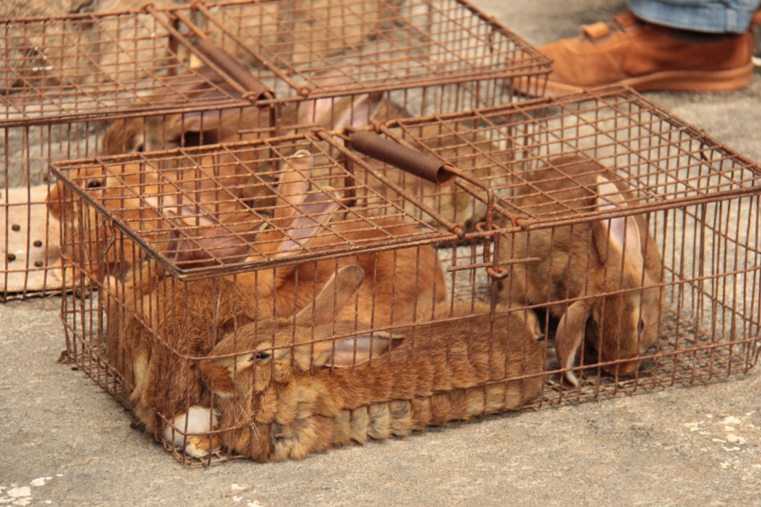 8673ABDE-8AE2-489A-9C9E-8015FA287B48