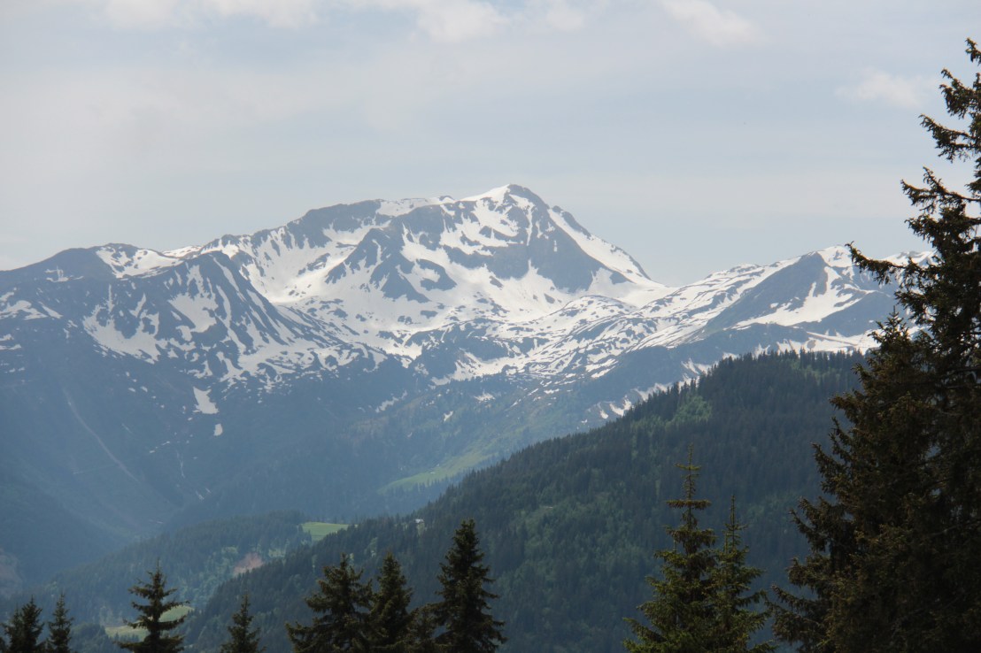 9694C547-DE7A-4B44-A887-F4BC2F54AC03