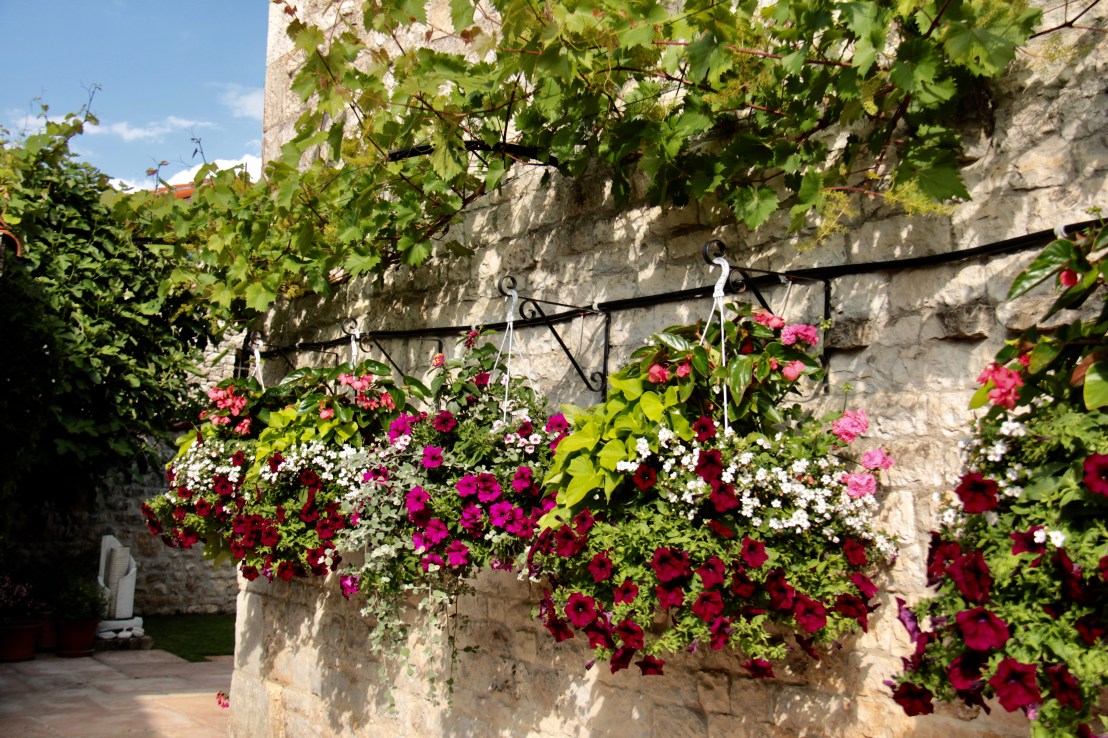 9FB9B16C-838F-418A-BD14-AC42C4227A36