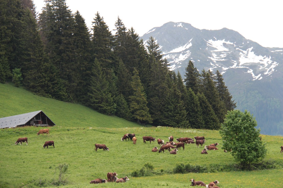 ADDF6085-FA13-4584-AED4-0915822D1547