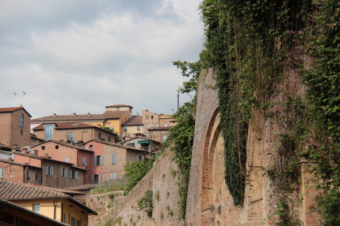 ADF45481-0464-42DC-93B1-804B97D11F49