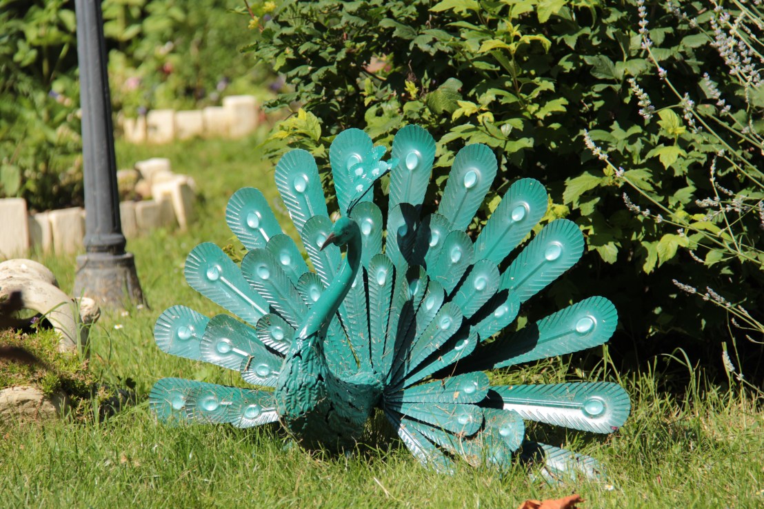 B57AF98D-469F-4B7F-B301-CAC0282B3071