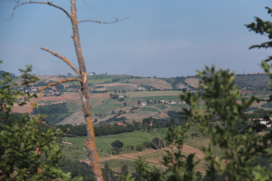 B8648795-F0FE-43B1-AC9B-7CFD800FBC68