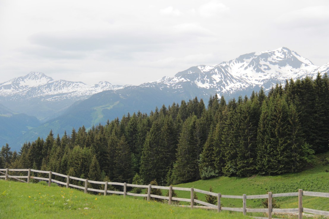 C04ED462-42CC-4E6D-8A81-96CADC1B589D