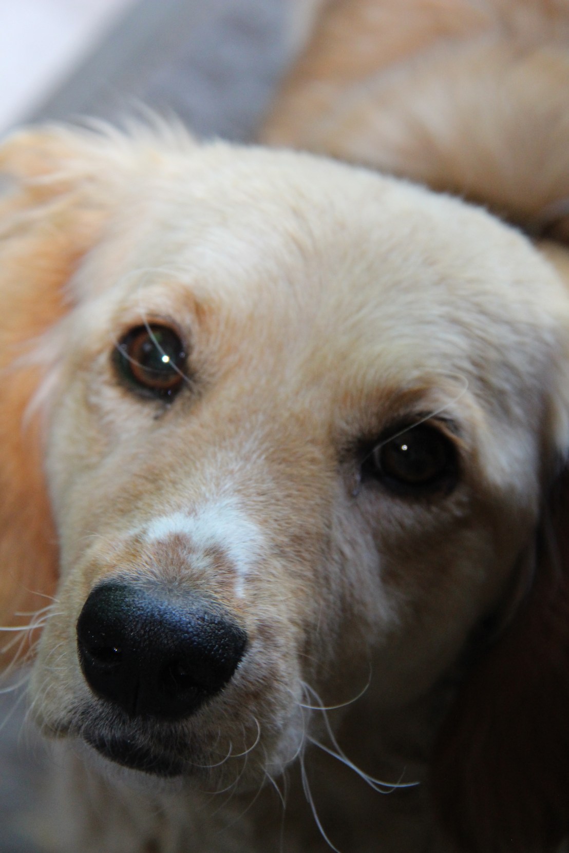 C49B9107-1295-4DE2-9D20-A12FE31F13B2