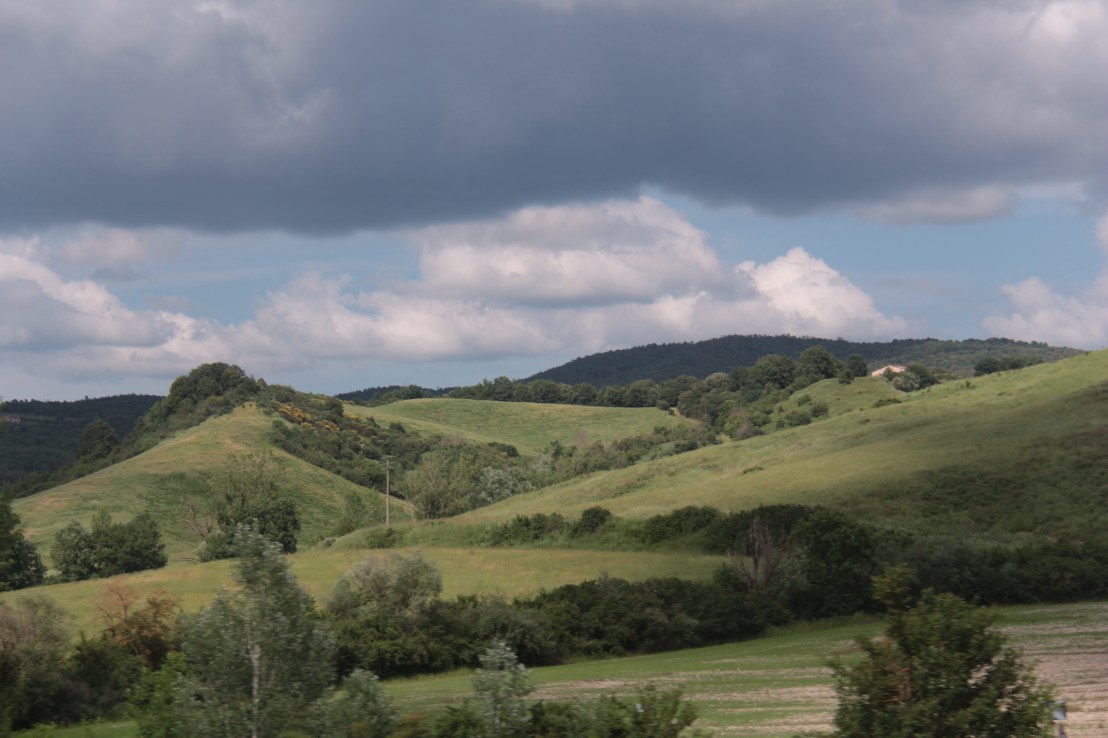 D307171E-2011-4FE9-A78E-D14349B96DCA