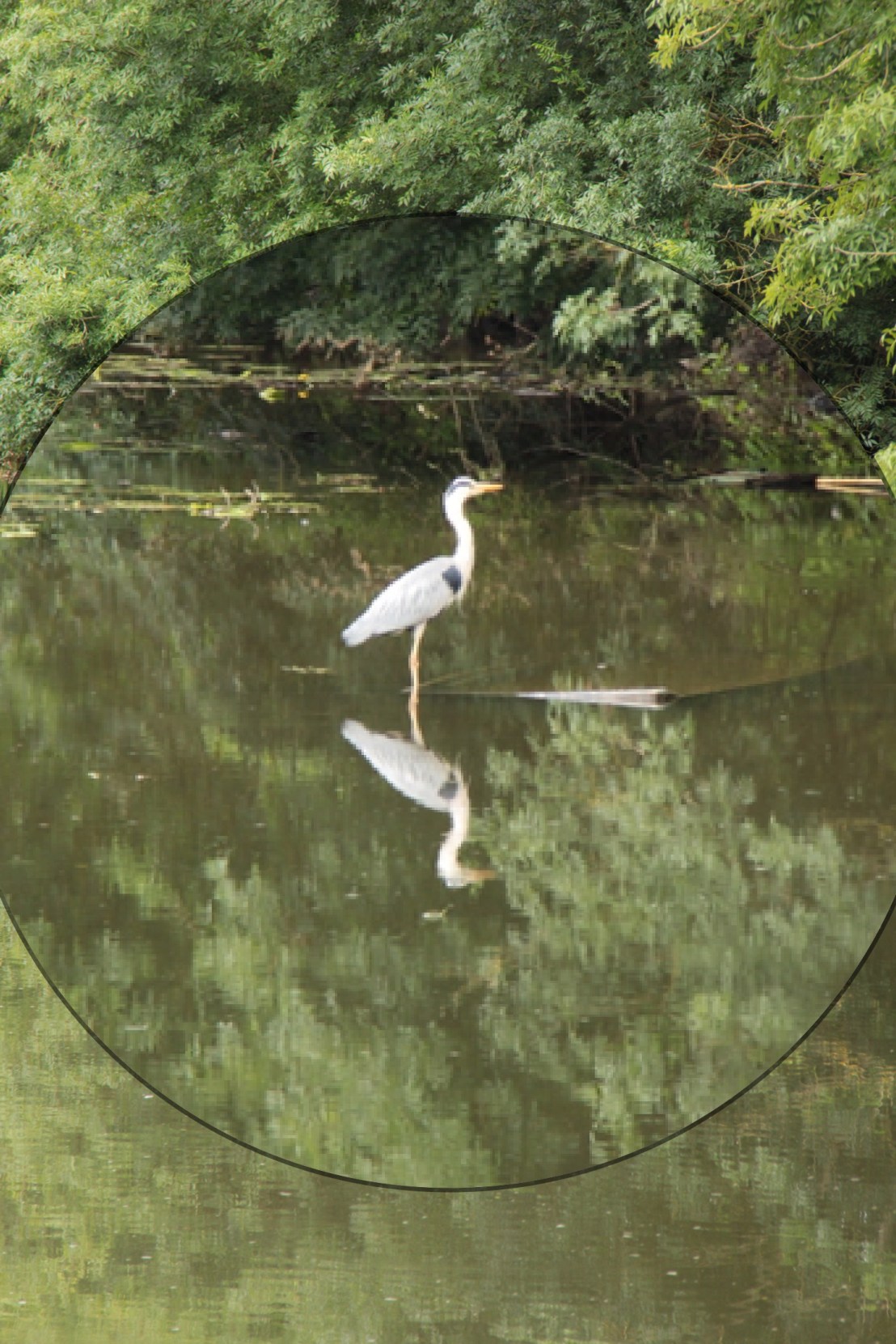 D4EBAE77-054D-4882-98B4-666D2F208065