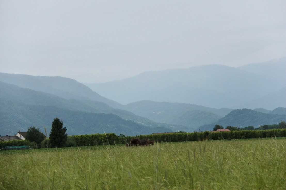 EEFBCF42-F4E7-49A4-B244-44E8BF39B484