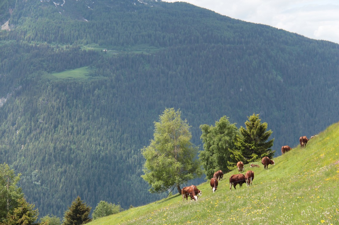 F748128A-3896-4324-8489-ACA982698FCD