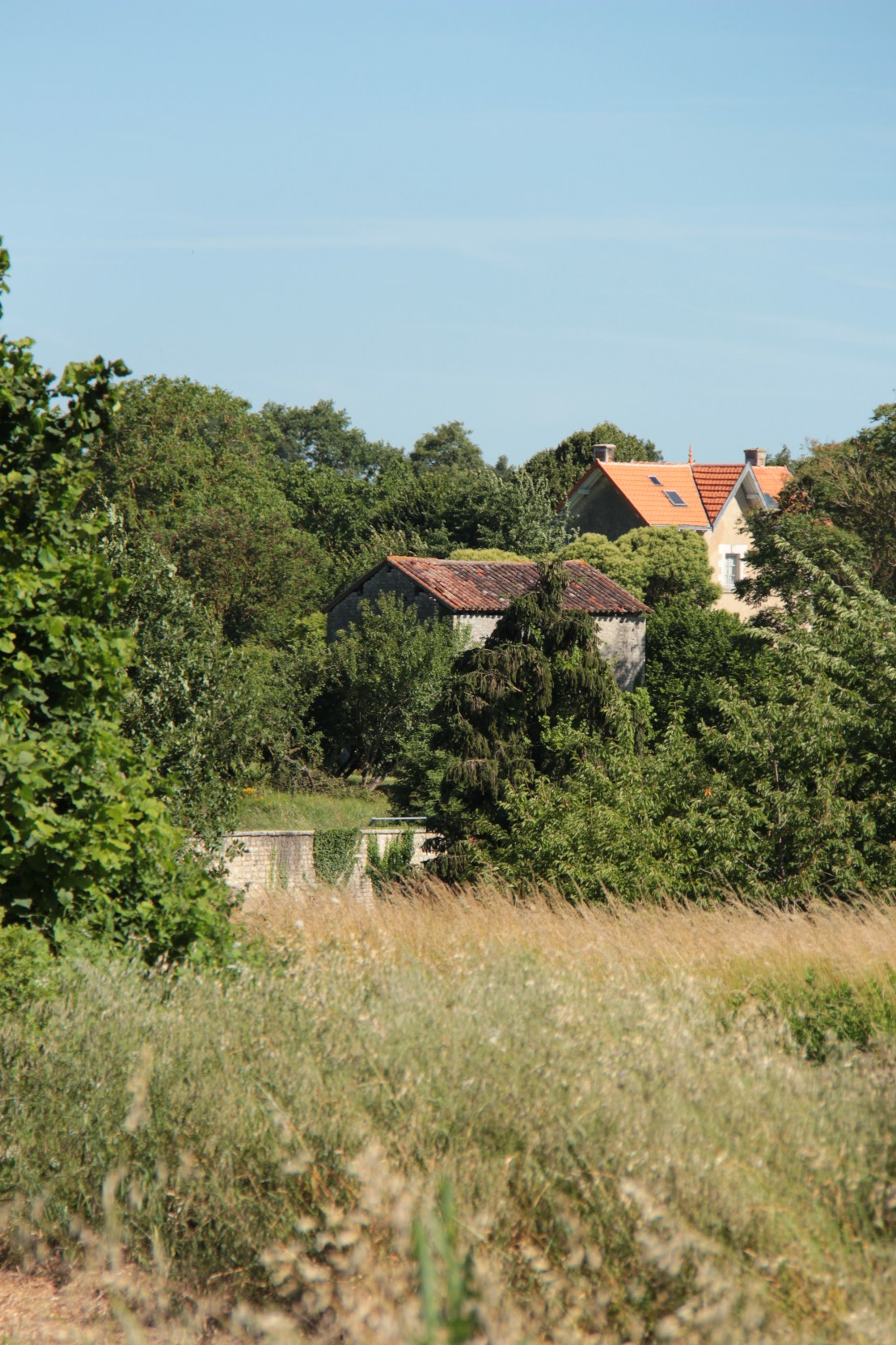 F7B84FFC-4A34-448B-9857-74FBB3885906