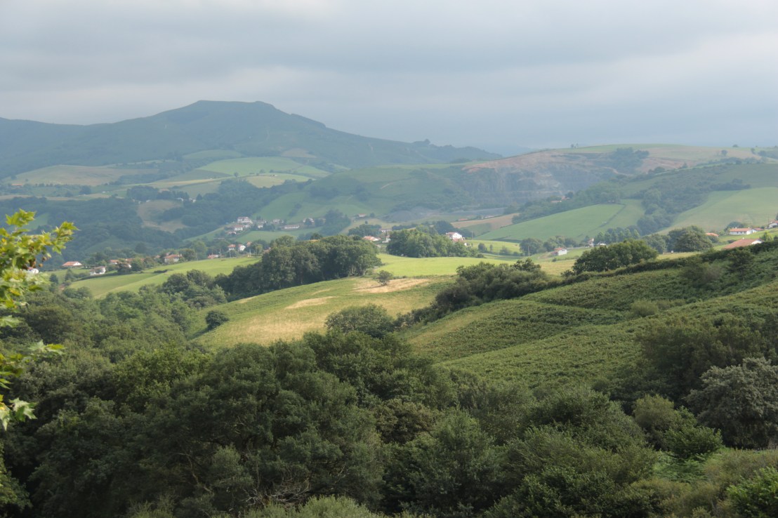 59828BC9-B911-472E-983A-A38132A49F04