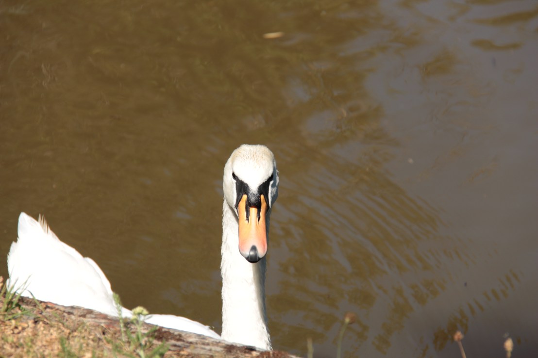 628A4212-D8D3-4837-A033-BF04F1CD4C4B