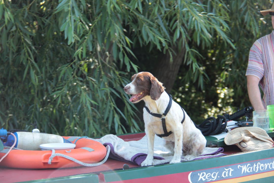 640FD579-476B-4BD8-9F93-C138E43911B7