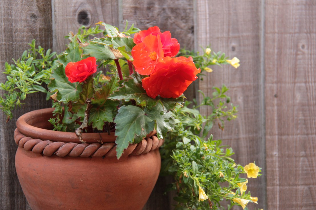 7233D427-70BF-43BA-8E40-B025860DF59D