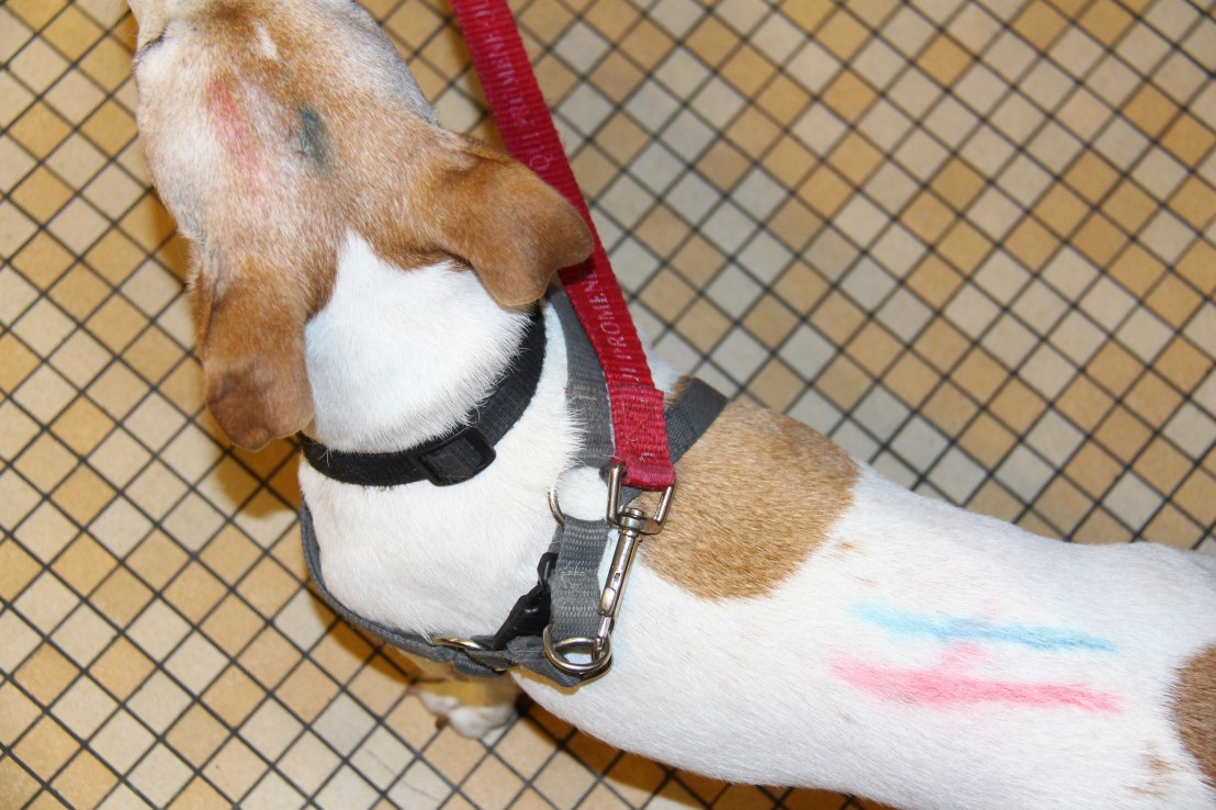 7989B259-29CE-475B-B080-CD9915381333