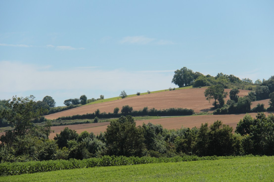 7A24E956-9A53-46A8-BC22-610CBC5634A1