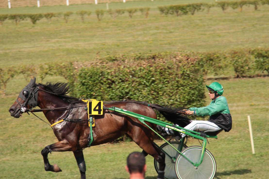 89856CFB-01E5-42D5-8E15-1EF345952F28