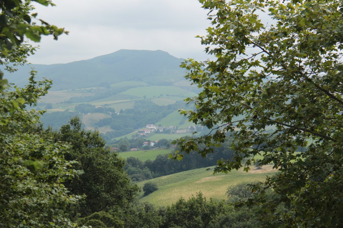 93282554-7948-4077-A190-44501700C919