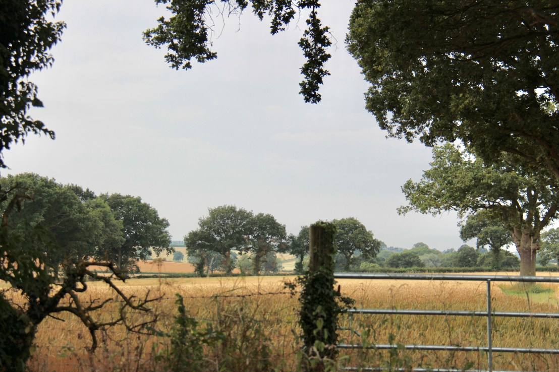 98C6F5C2-6DA7-4B7B-BB30-986349F51734