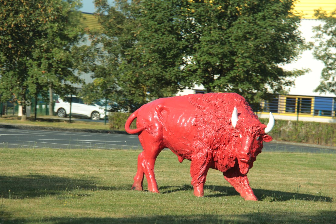 9B58E530-5E59-4A55-A8D9-4913C493AF21