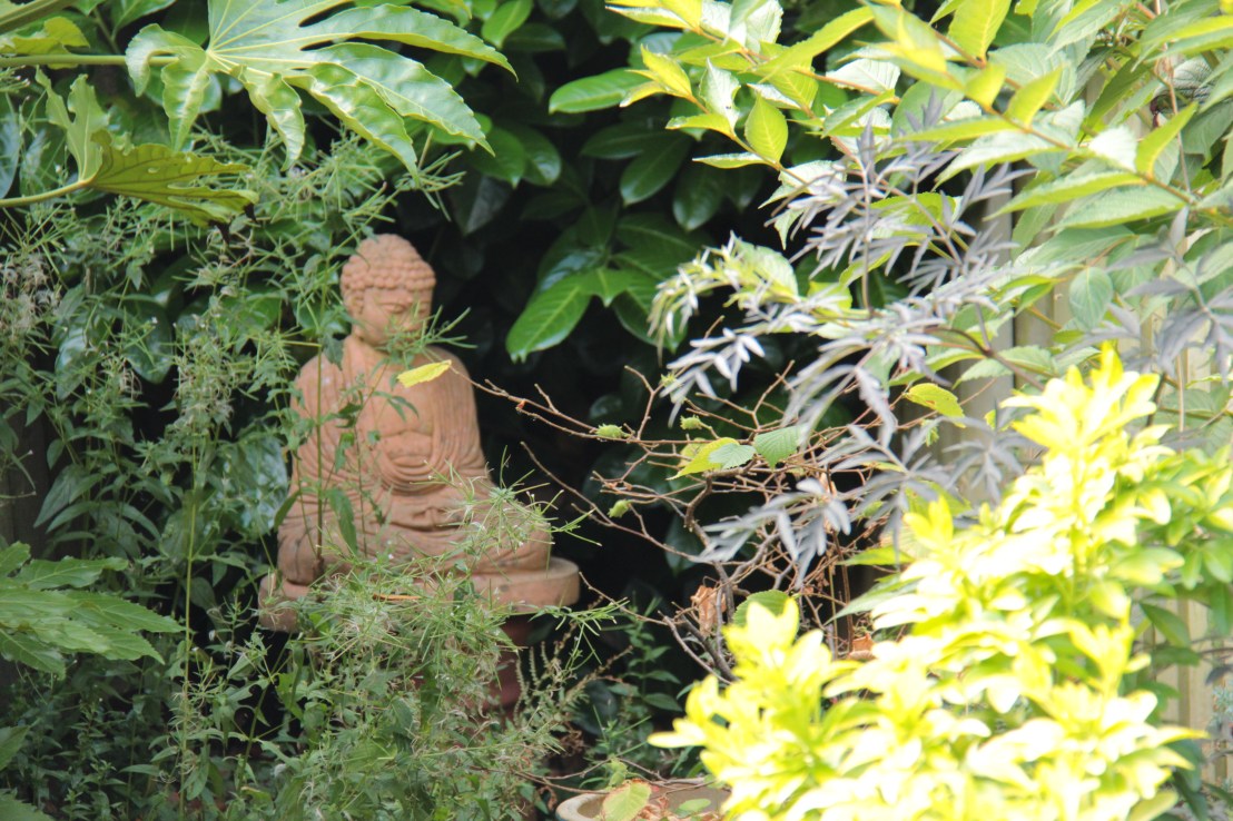 B0690DDE-78E3-41BC-9A5A-2EFFC3E92C12