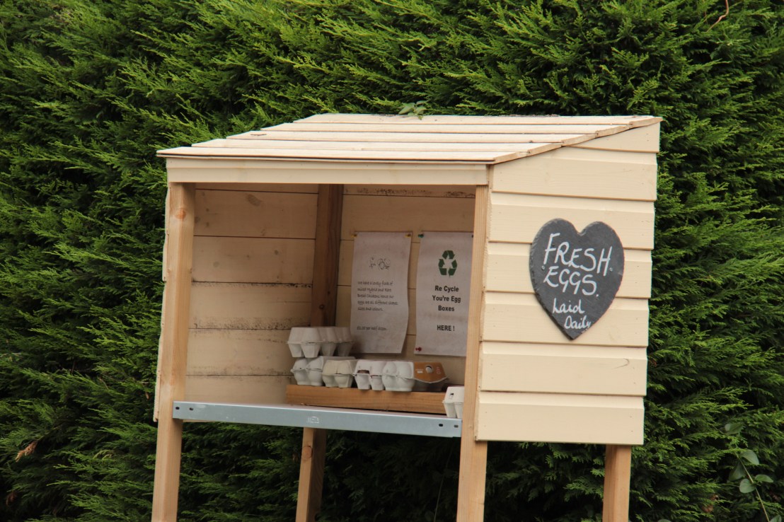 B3575C5A-BC41-4B1F-88A9-035B57CA068B