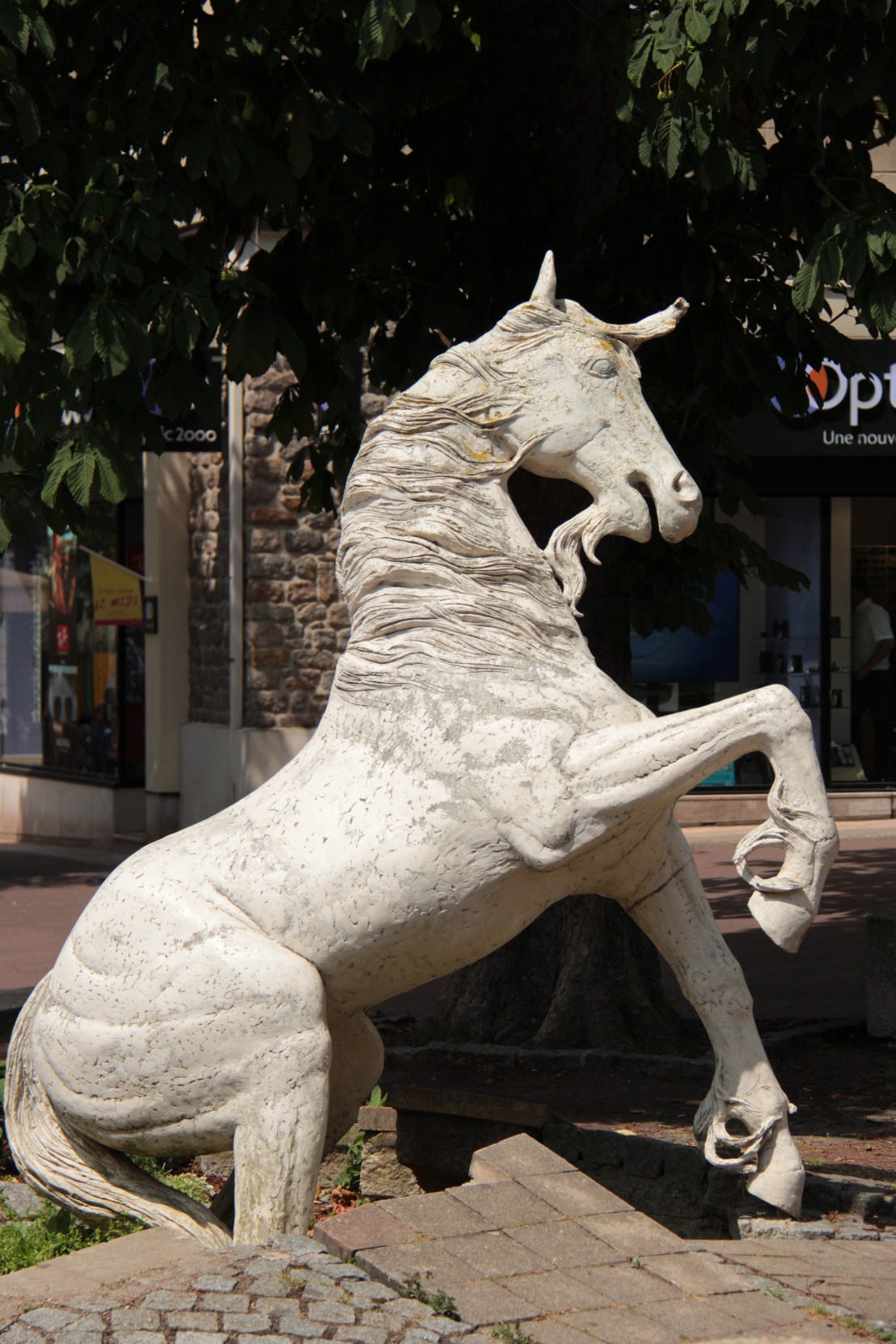 CA14F1D7-06AA-4856-8798-2D7288817DE3